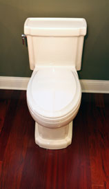 toilet for bathroom remodel